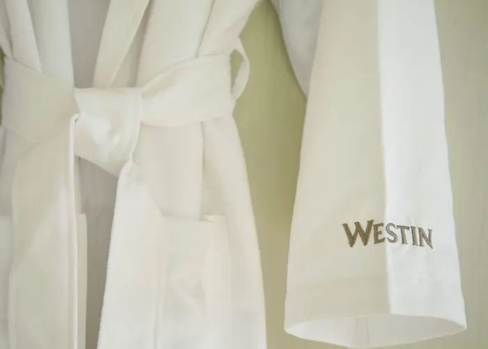 Hotel The Westin Great Southern 4*